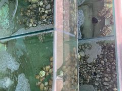 -四海鲜渔家菜(黄金海岸店)