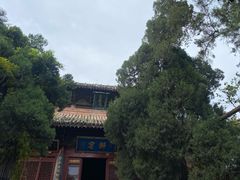 -洛阳白马寺