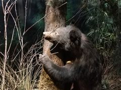 -陕西自然博物馆