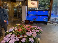 -湘力力小院·鱼汤泡饭(枫林路店)