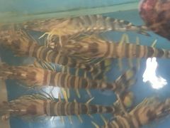 -御厨私房菜(枫林雅都店)