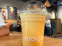 -Wagas沃歌斯(枫蓝国际店)