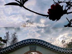 -海珠湖公园