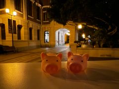 -香港大学