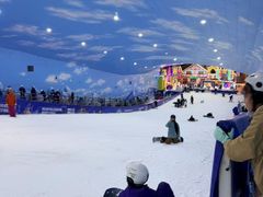 -世界之窗阿尔卑斯冰雪世界