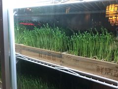 -捞神煲汤火锅(湖滨商业街店)