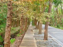 -同里国家湿地公园