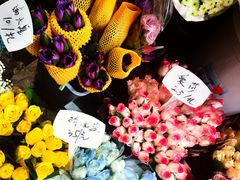 -循礼门鲜花花市(武汉循礼门店)