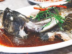 石斑鱼-四川小胡子海鲜(丁村万人海鲜广场店)