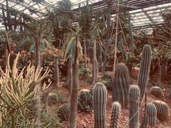 -呀路古热带植物园