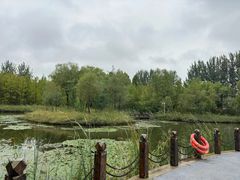 -山东鲁能乒乓球学校