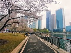 -西北湖绿化广场