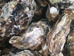 -宾朋海鲜特色美食餐厅·纯手工鲅鱼水饺(兴海路店)