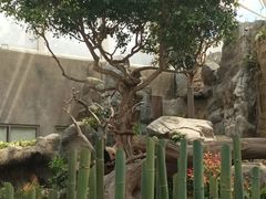 -香港海洋公园