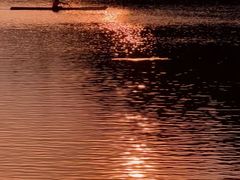 -海珠湖公园