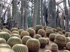 -南山植物园