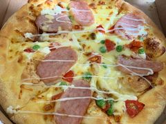 酣享嫩肉比萨-达美乐比萨(武定店)