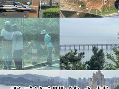 -星海湾跨海大桥