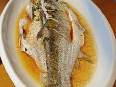 -三凤酒家·百年无锡菜(清扬茂业店)