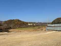 -千年银杏谷文化旅游区