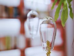 -二酉书店TOYOU BOOKS