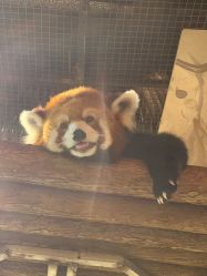 -Zoolung Zoolung动物主题公园(海信广场店)