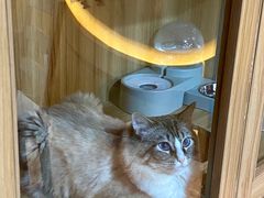 -白兔子密室(长寿路店)