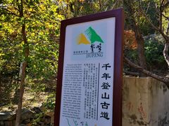 -北京鹫峰国家森林公园