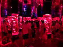 -成都浩海立方海洋公园