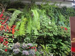 -颐而康·按摩·艾灸·足疗(汽车东站店)