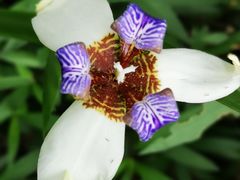 -惠州康帝国际酒店