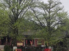 -佛荫寺