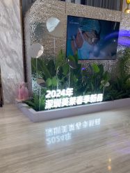 -深圳美莱医疗美容医院