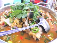 -全乐鱼馆·淳牌有机鱼直营店