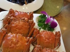 -齐鲁酒店