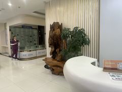 -泰康拜博口腔·二级专科医院(种植·正畸·修复·联合中心)