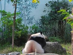 -南宁市动物园