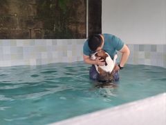 -趣多多宠物公园·宠物训犬学校·宠物寄养