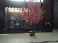 DSC_0244-苏州香山国际大酒店