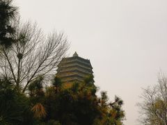 -玲珑塔公园