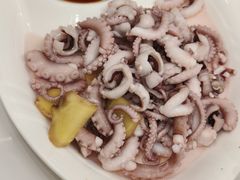 白灼八爪鱼-健跳小海鲜(人民路店)