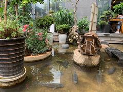 -海韵人家.海景花园经典云南菜(双廊店)