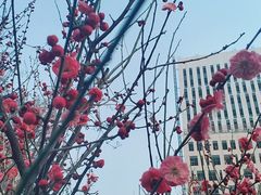 -山东大学(趵突泉校区)