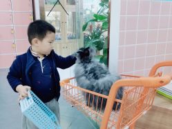 -Moni星球萌宠·小马宝莉·灵蛇·高端高阶全萌宠互动体验俱乐部(红豆国际广场店)