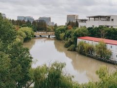 -上海中医药大学附属曙光医院(东部)