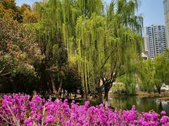 -白塘生态植物园