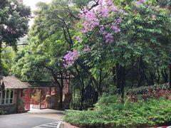 -广州市白云山风景名胜区
