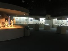 -兴隆文化园景区-兖州博物馆