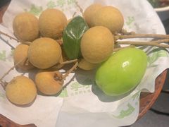 -季季山·云南野生菌火锅(上海首店)