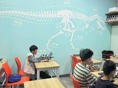 -斯坦星球AI编程·机器人科创·乐高科学·信奥·思维·专注力·STEM·竞赛考级(高新区绿宝广场龙湖狮山天街学习中心)